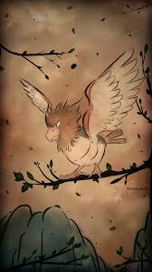 Spearow Bird Pokemon Card Art Wild Pokemon