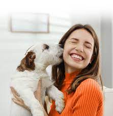 Shop dog food & pet supplies online today. Vip Petcare Vip Petcare Walk In Community Veterinary Clinics