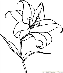 There are tons of great resources for free printable color pages online. Lily Pad Flower Coloring Pages Coloring Home