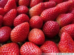 Pour nourrir les fraisiers sans leur faire produire trop de feuillage au détriment des fruits, épandez un la saveur acidulée de la rhubarbe réveille la douceur sucrée de la fraise. Questions Frequentes Sur Les Fraises