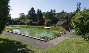 Diese fragen sollten sie sich zuvor stellen! Details