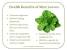 Curry Leaves Medicinal Uses