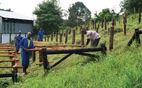 Kenya, the aberdare range, kisii, nyanza, bungoma, nakuru and kericho. Renewing Generational Interest In Kenyan Coffee Production Perfect Daily Grind