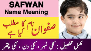 Safwan Name Meaning In Urdu || صفوان Safwan Naam Ka Matlab Kya Hai ||