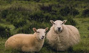 Incredibly long gifs, subtitles, large file size gifs, or content much better suited to video formats will be removed (e.g multiple cuts, sound, text boxes. Social Media Stuff Im Juni