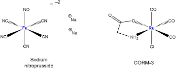 Image result for Nitroprusside