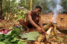 Image result for Pycreus africanus