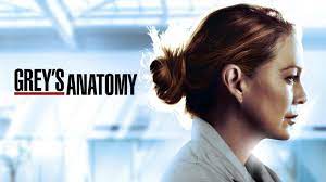 About Grey S Anatomy Tv Show Series