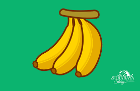 Kamu bisa membaut bolu pisang panggang dari pisang yang sudah matang. Sejarah Dan Manfaat Pisang Untuk Kehidupan Surabayastory Com