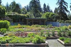 Check out mymove's guide to the best green pest defense. Natural Pest Control How To Plant Mixed Herbs And Vegetables To Deter Pests Garden Therapy