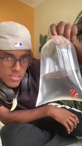 Fauna tropical: descubre el chico culebra