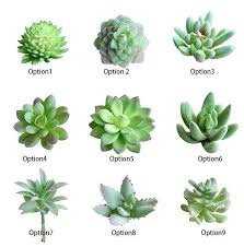 Charming Faux Artificial Succulent Plants Emulational Cactus Plants For Office Hom Types Of Succulents Plants Artificial Succulent Plants Artificial Succulents