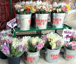 Has anyone ever used trader joes for flowers? Bring Trader Joe S To Lancaster Pennsylvania Home Facebook