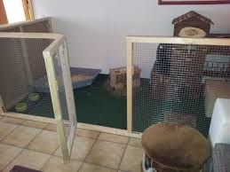 Innenhaltung Fotos Kaninchengehege Kaninchenstall Selber Bauen Kaninchen