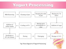 industrial training at abdul monem limited igloo ice cream