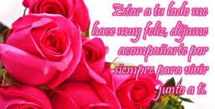 Poemas Romanticos Para Enamorar A Mi Novia Flowers Rose Plants