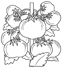 The best free, printable pumpkin coloring pages! Coloring Pages Food Animated Images Gifs Pictures Animations 100 Free