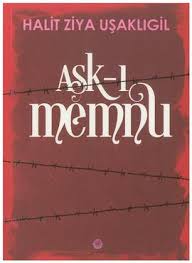 Kitaptaki olaylar barındırdığı entrika ve iş içe geçmiş düzenli bir sıra içerisinde anlatıldığı için okuyucuda merak ve heyecan uyandırmaktadır. Ask I Memnu Novel Wikipedia