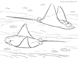 Cownose Stingray Coloring Pages Xcolorings Com Welcome to our supersite for interactive & printable online coloring pages! cownose stingray coloring pages