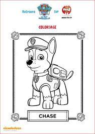 chase paw patrol tfou coloring pages coloriages de gorilles