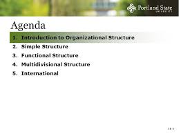 Chapter 11 Organizational Structure Controls Ppt Video