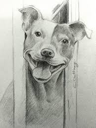 Pin On My Drawing