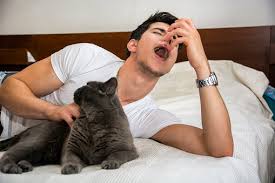 So, what are the best ways to get rid of pet hair? How To Combat A Cat Allergy Without Getting Rid Of Your Cat