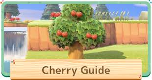 Player birthday party | what happens on your birthday? Acnh Cherry Fruit Price Uses Animal Crossing Gamewith