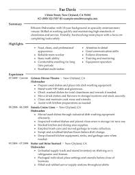 Professional Dishwasher Resume Examples Culinary Livecareer