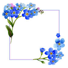 Cvetochnyj Bad Cvetok List Spravochnaya Informaciya Watercolor Flowers Flower Drawing Flower Frame