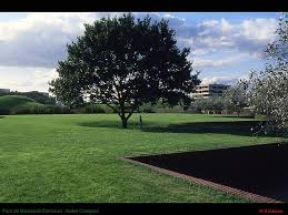 Corajoud Parc Coudrays 01 Paysagiste Amenagement Paysager Parc