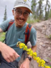 Forget Pokémon, try finding all 110 of the NWT's bee species