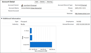 Adding An Embedded Report Chart Salesforce Reporting And