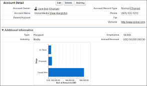 adding an embedded report chart salesforce reporting and