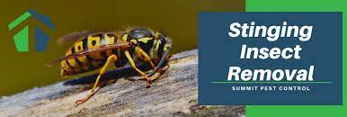 Call today for a free quote! Stinging Insect Control In Fredericksburg Fairfax Alexandria And Arlington Va