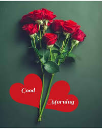 We did not find results for: Good Morning Love Flowers To My Wife Hutomo