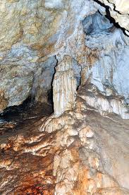 Malaysia adalah salah satu habitat terbesar mereka. Gua Definition And Synonyms Of Gua In The Malay Dictionary