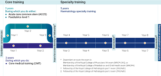 Haematology Curriculum Gmc