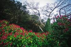 Waimea Valley - World Teachers Day