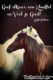 Pin Op Bemoediging Quotes