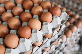 Selamat datang ke pautan pintas portal rasmi. Fomca Urges Authorities To Be Stricter On Egg Labelling The Edge Markets