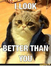 Twitchtv) is a popular website for viewing live streams of video games, such as starcraft 2, dota 2, and league of legends. New Cool Cat Twitch Memes Crunked Memes Crunking Memes Ifunnier Memes