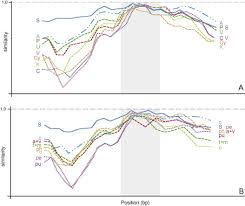 Image result for Schoenoxiphium sparteum