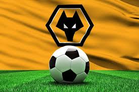 Shop our vast selection of products and best online deals. Molineux Pitch Fc Wolves Fc The Wolves Molineux English Out Of Darkness Cometh Light Hd Wallpaper Peakpx