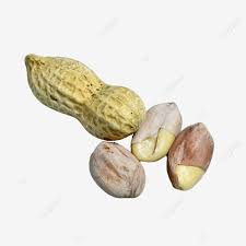 Kacang tanah juga mempunyai banyak khasiat yang terkandung didalamnya, mulai dari manfaat untuk kesehatan hingga kecantikan sekalipun. Gambar Tiga Kacang Tanah Dan Satu Kacang Dalam Tempurung Clipart Kacang Peanut Penuh Png Dan Clipart Untuk Muat Turun Percuma