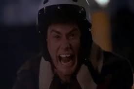 Browse 1,676 dumb and dumber stock photos and images available, or start a new search to explore more stock photos and images. Dumb And Dumber Frozen Scooter Gif Browse And Share The Top Dumb And Dumber Scooter Gifs From 2020 On Gfycat Kranjang Amoh