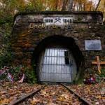 V javnosti se je pojavil dokument ...