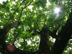 Le Monde Des Epices Produits Du Terroir Le Lamentin Martinique Martinique Visite Org