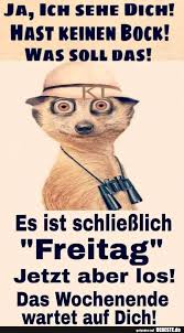 Ja Ich Sehe Dich Lustige Bilder Spruche Witze Echt Lustig Freitag Spruche Lustig Freitag Spruche Freitag Lustig