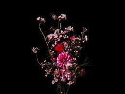 This is buy wife flowers by panic camera on vimeo, the home for high quality videos and the people who love them. Azuma Makoto S Provocative Botanical Sculptures In Flower Punk The New Yorker